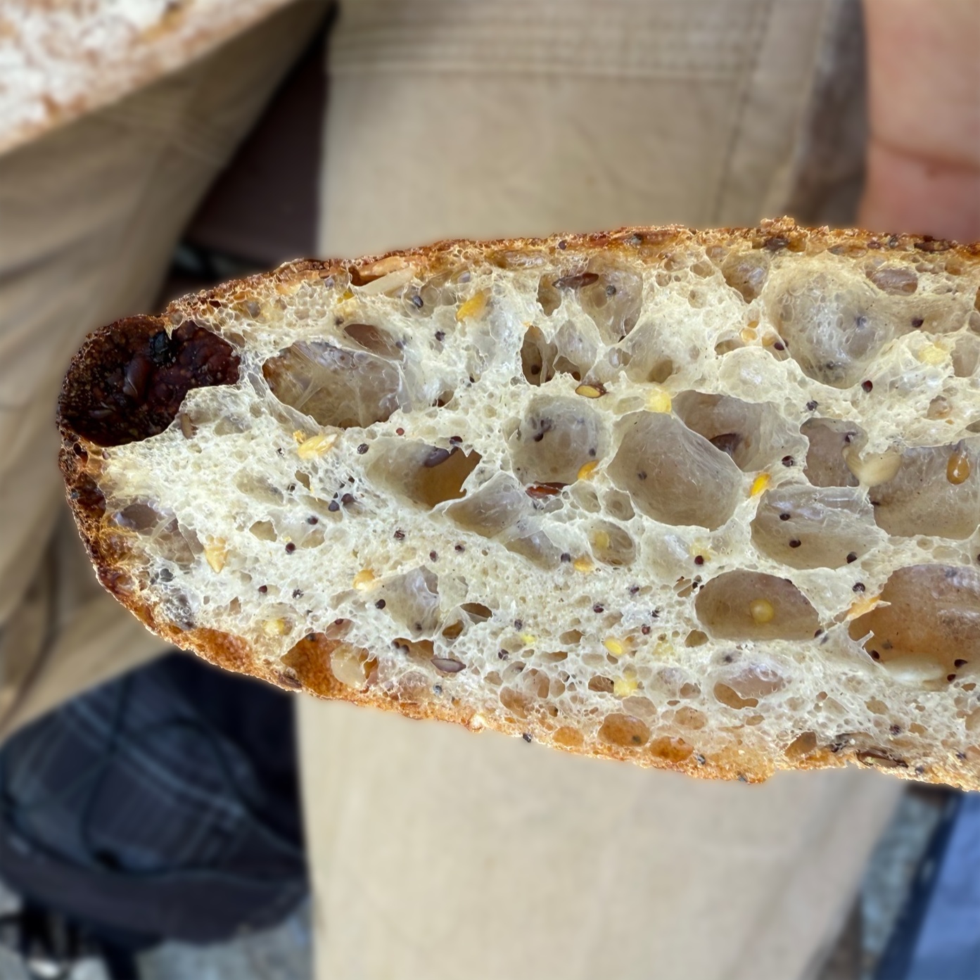 graine-baguette-inside