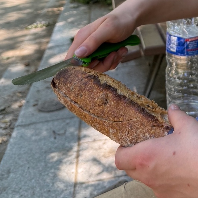 graine-baguette