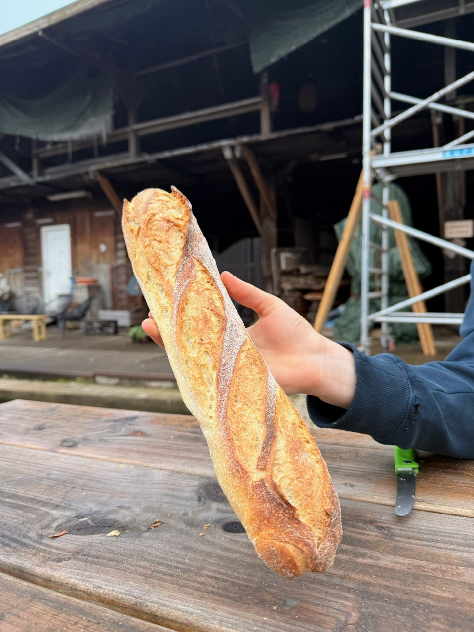 313b348f-ec13-4ba9-b1ed-5e52accc2b76