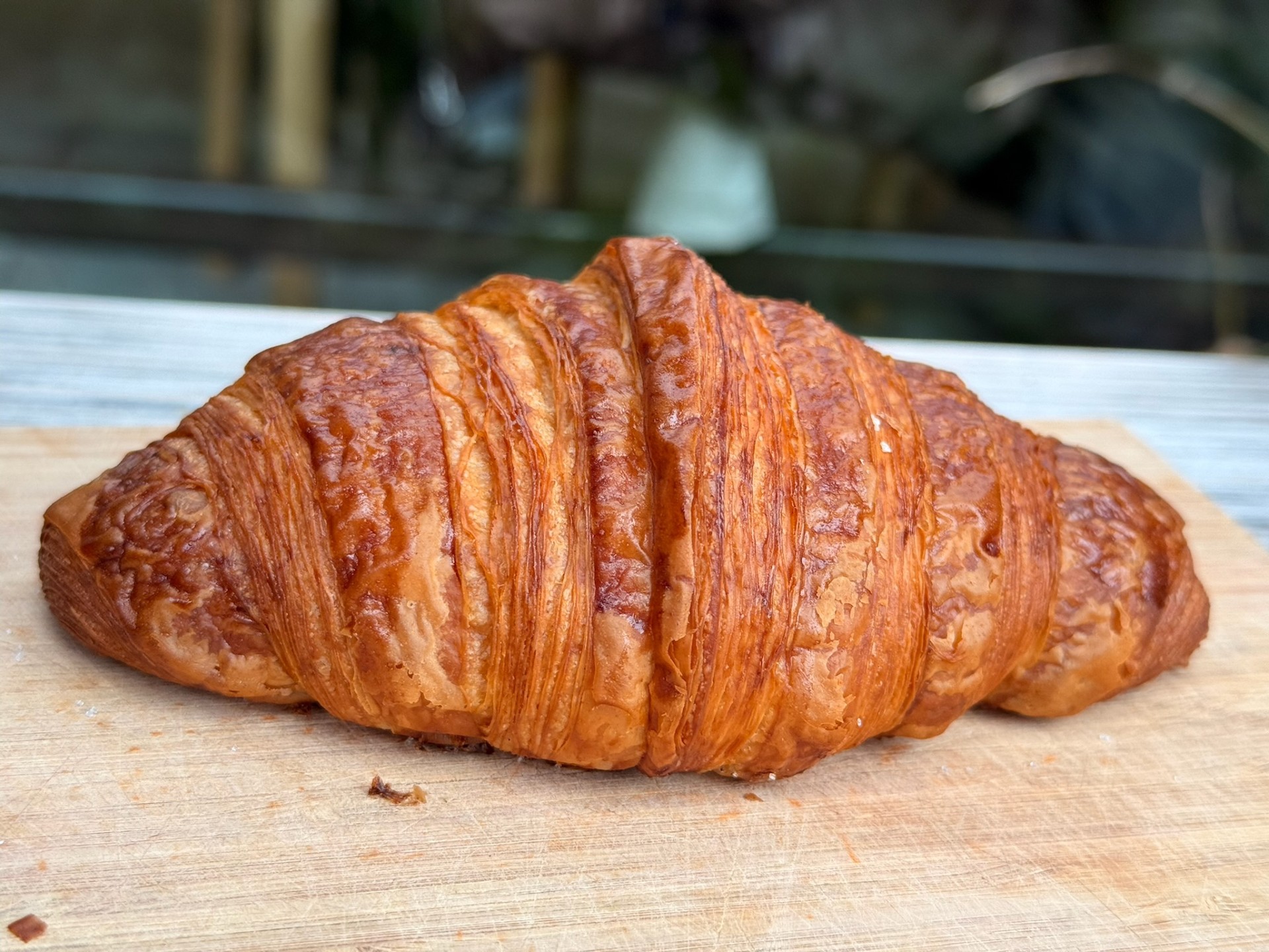 a405d3d1-a7c2-4abd-8996-c4d6b84f0d16